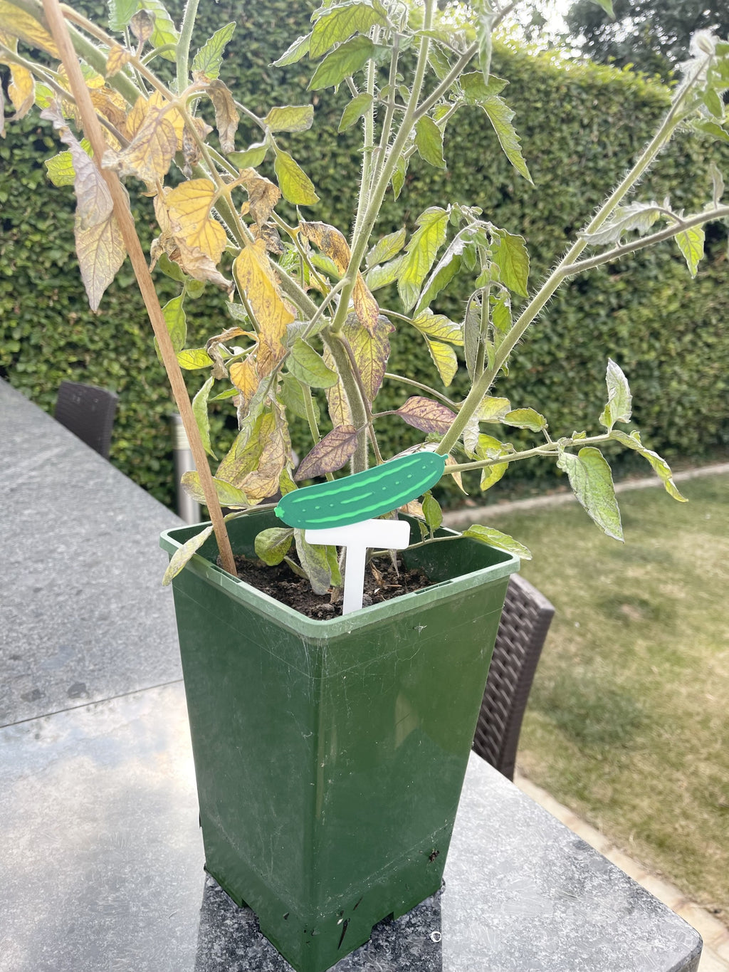 Fruit & Vegetable Plant Stakes | Pack of 5 | Garden Plant Labels | Reusable Plant Markers