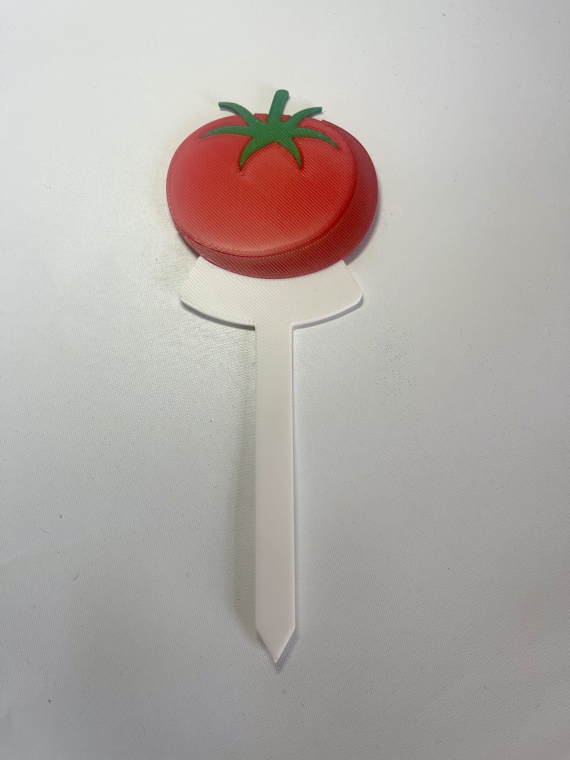 Fruit & Vegetable Plant Stakes | Pack of 5 | Garden Plant Labels | Reusable Plant Markers