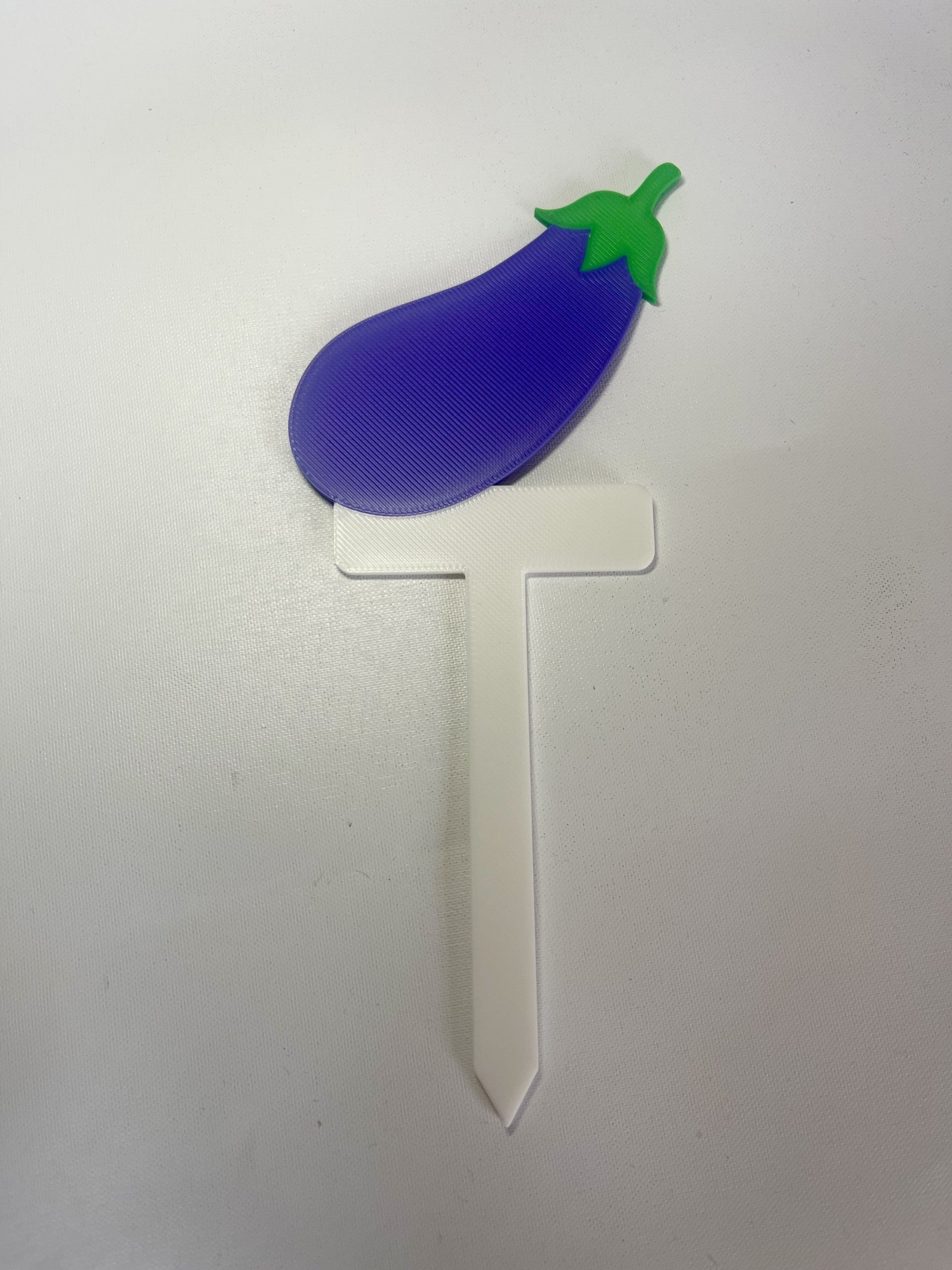 Fruit & Vegetable Plant Stakes | Pack of 5 | Garden Plant Labels | Reusable Plant Markers