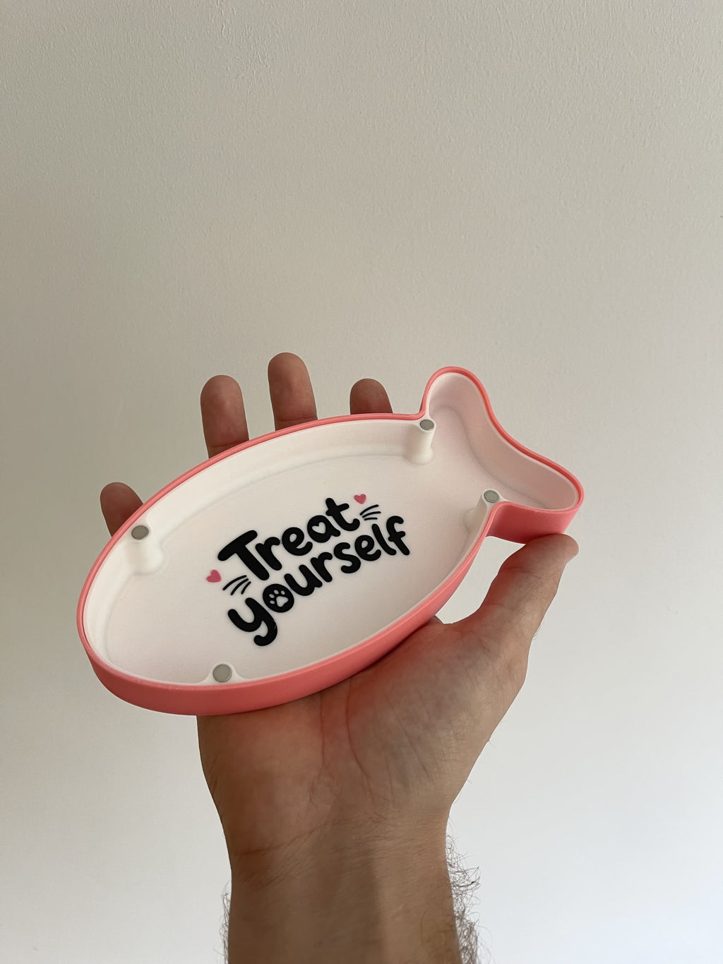 Cat Fish Shaped Treat Box, Magnetic Seal