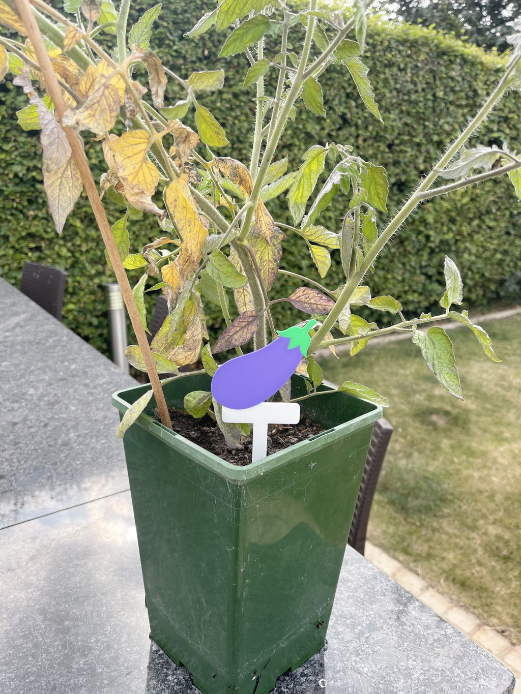 Fruit & Vegetable Plant Stakes | Pack of 5 | Garden Plant Labels | Reusable Plant Markers