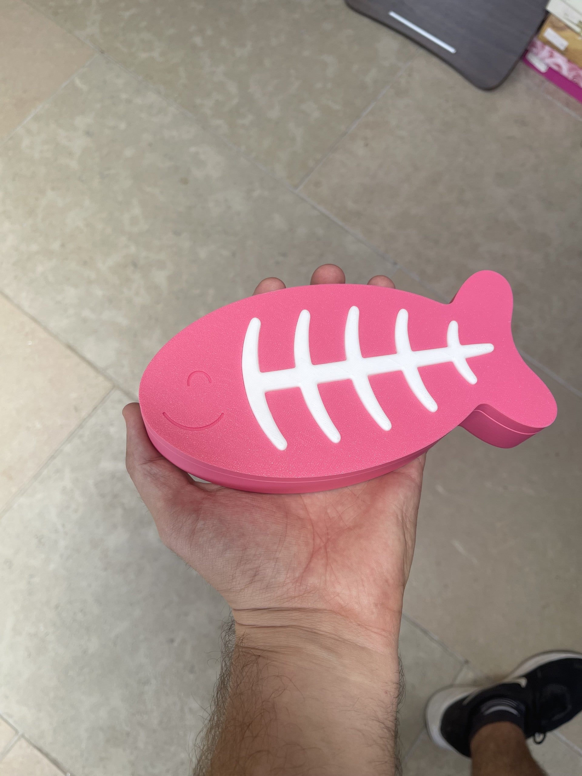 Cat Fish Shaped Pill Box, 7 Day Day/Night Organizer, Magnetic Seal