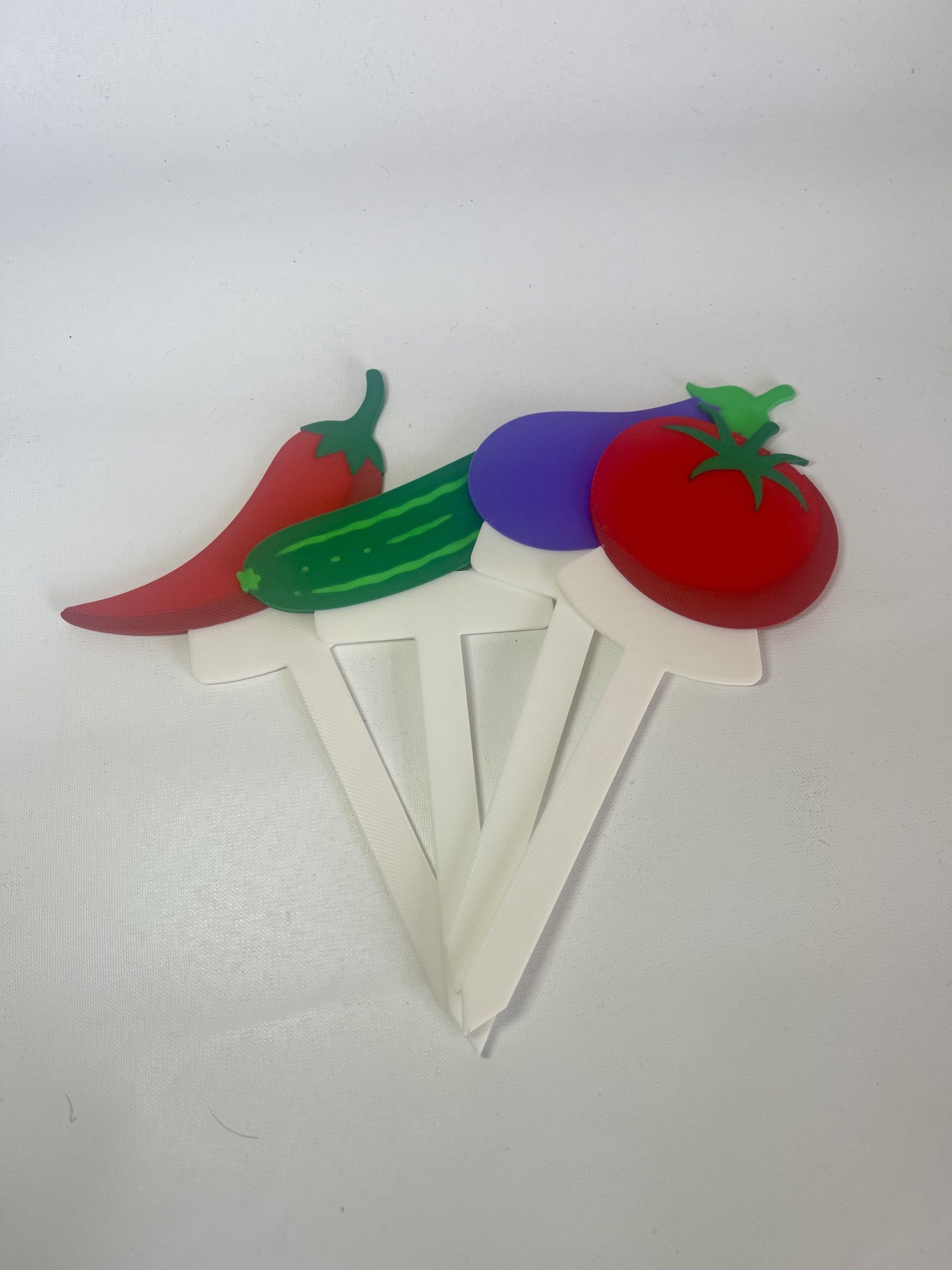 Fruit & Vegetable Plant Stakes | Pack of 5 | Garden Plant Labels | Reusable Plant Markers