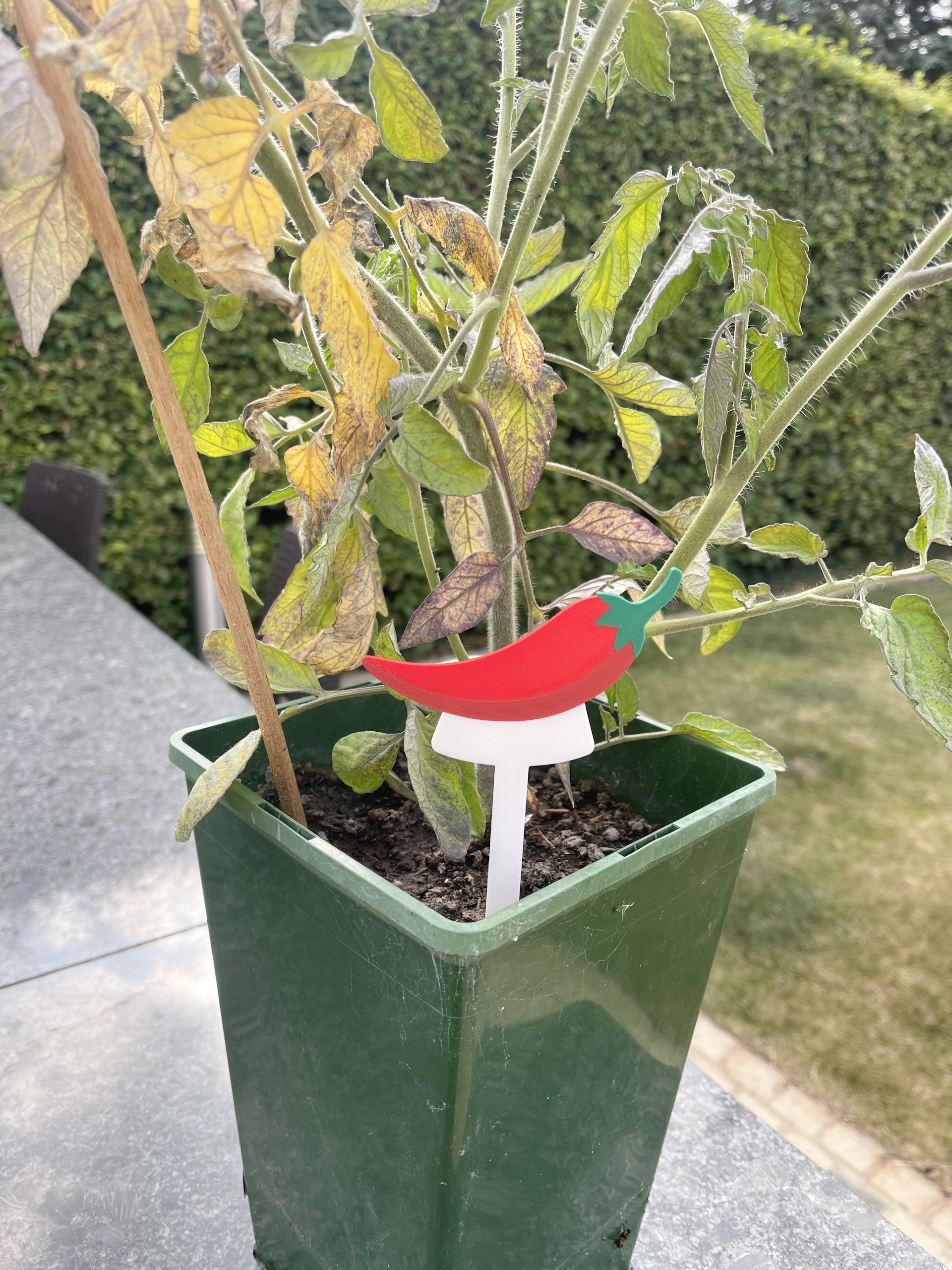 Fruit & Vegetable Plant Stakes | Pack of 5 | Garden Plant Labels | Reusable Plant Markers